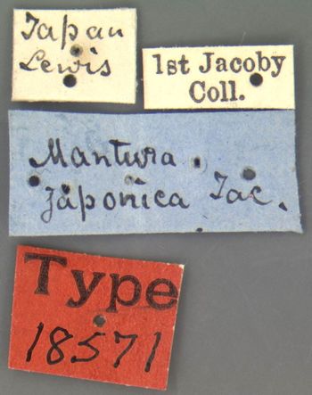 Media type: image; Entomology 18571   Aspect: labels